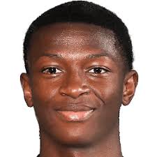 尼尔森·阿马丁